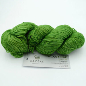 Пряжа Gazzal Wool Star Kiwi 3829 зелений
